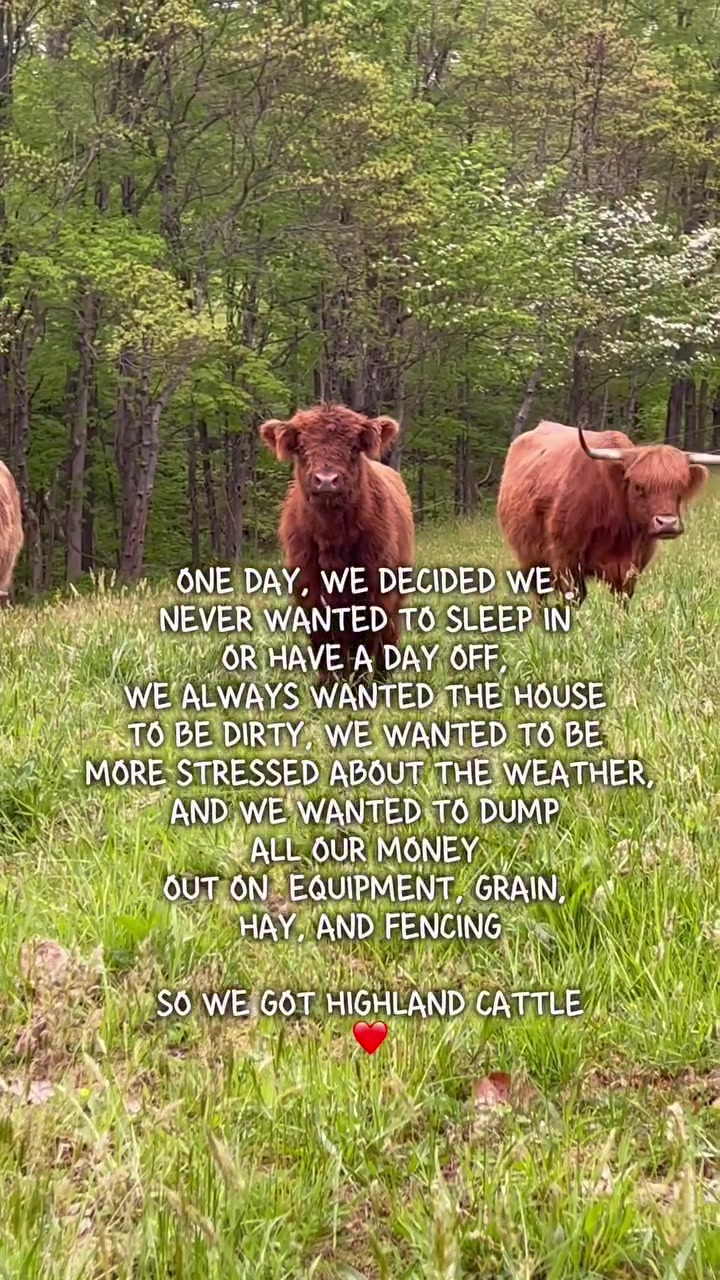 @Gypsy Rose Farm, LLC