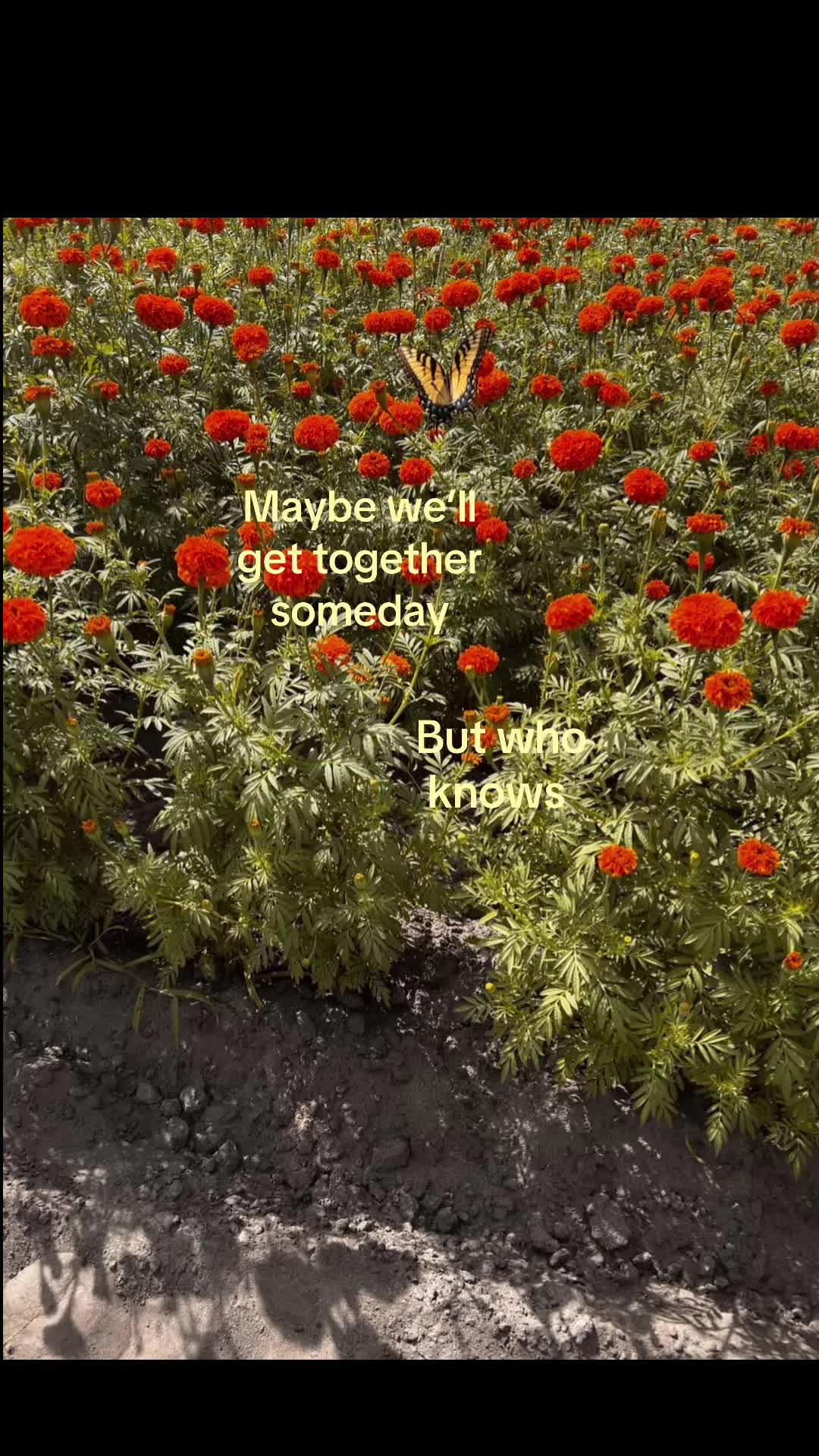 @ok
