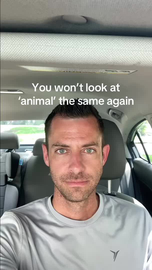 @Mike and Sammy Kula