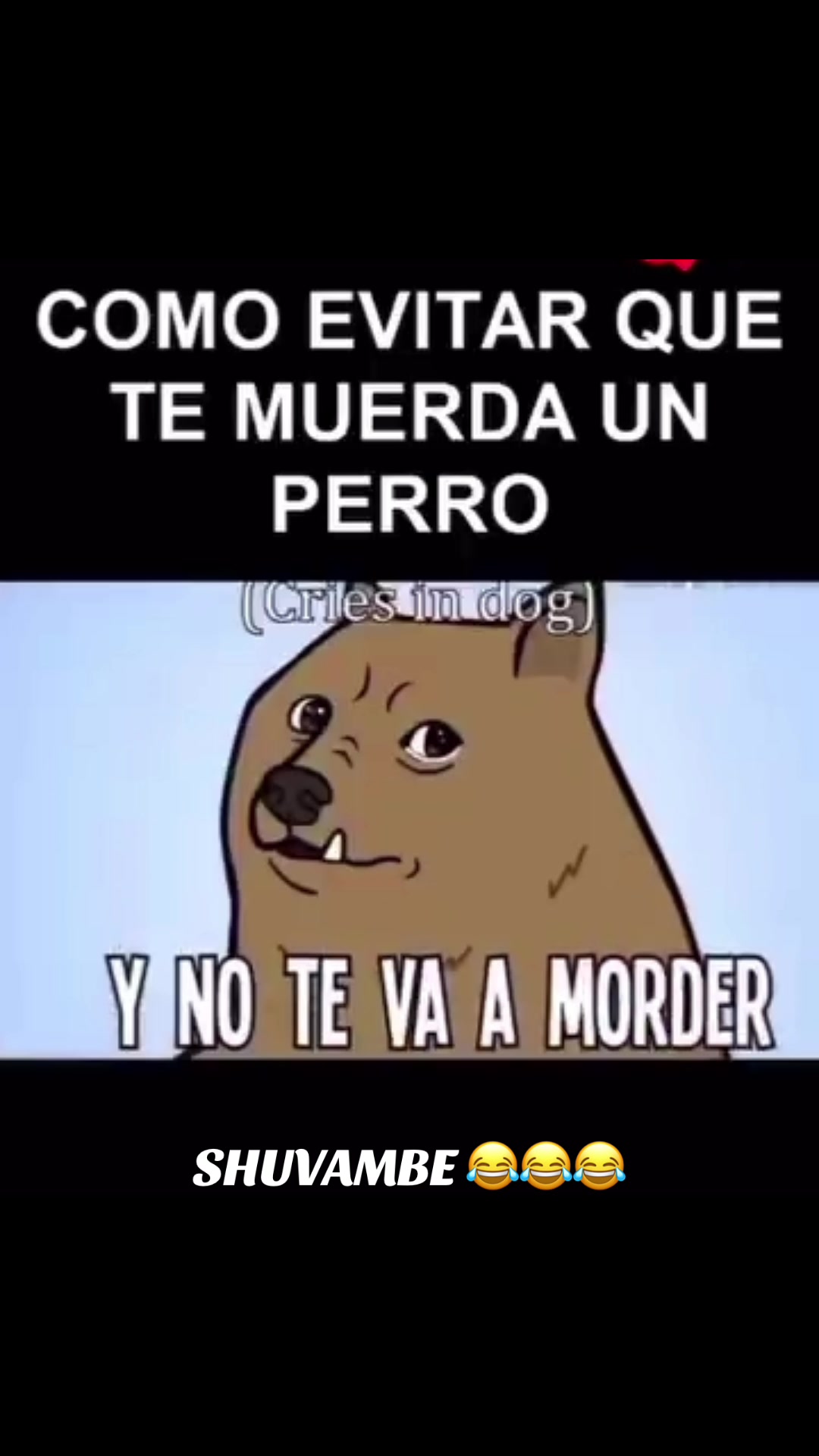 @Puras risas 😂