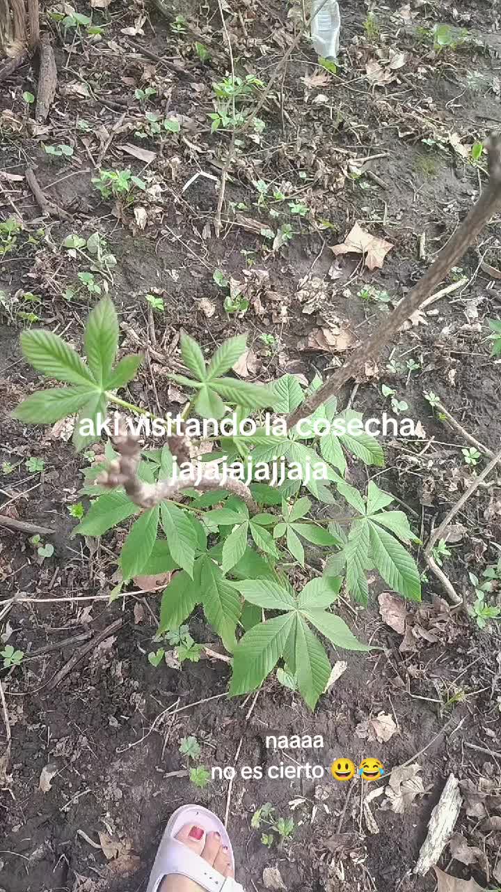 @hana Mendoza