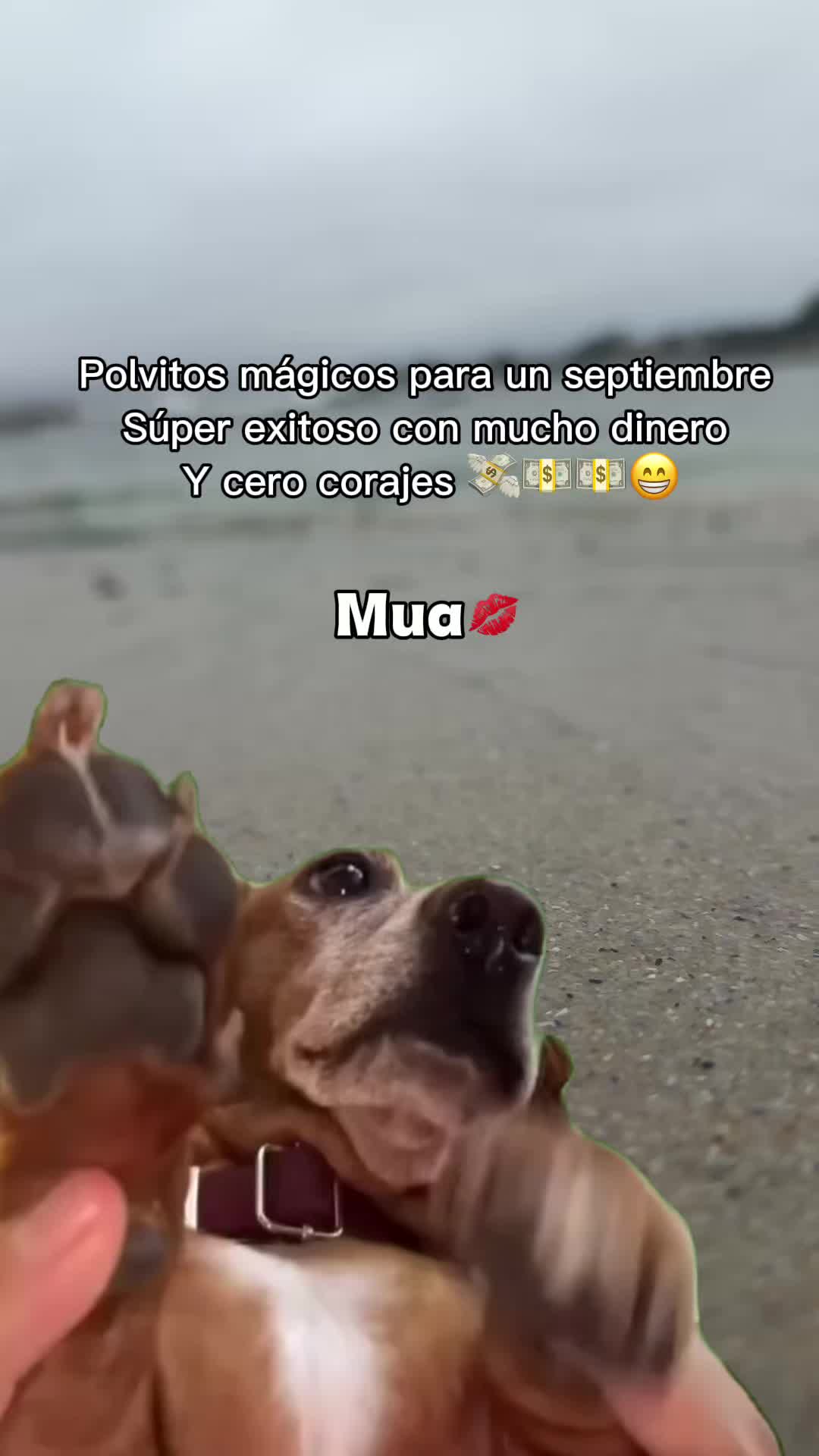 @🍒𝔽𝕝𝕠𝕣🍒🦋𝔸𝕣𝕖𝕝𝕚🦋