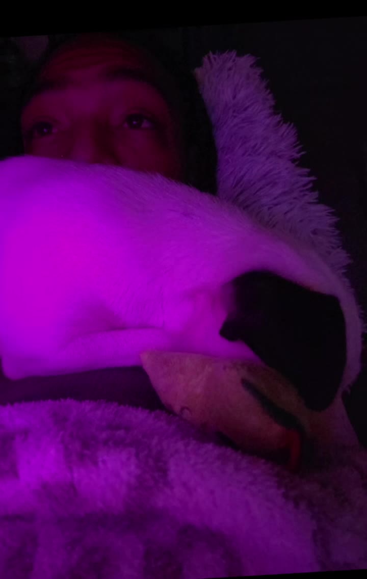 @InkFlixx