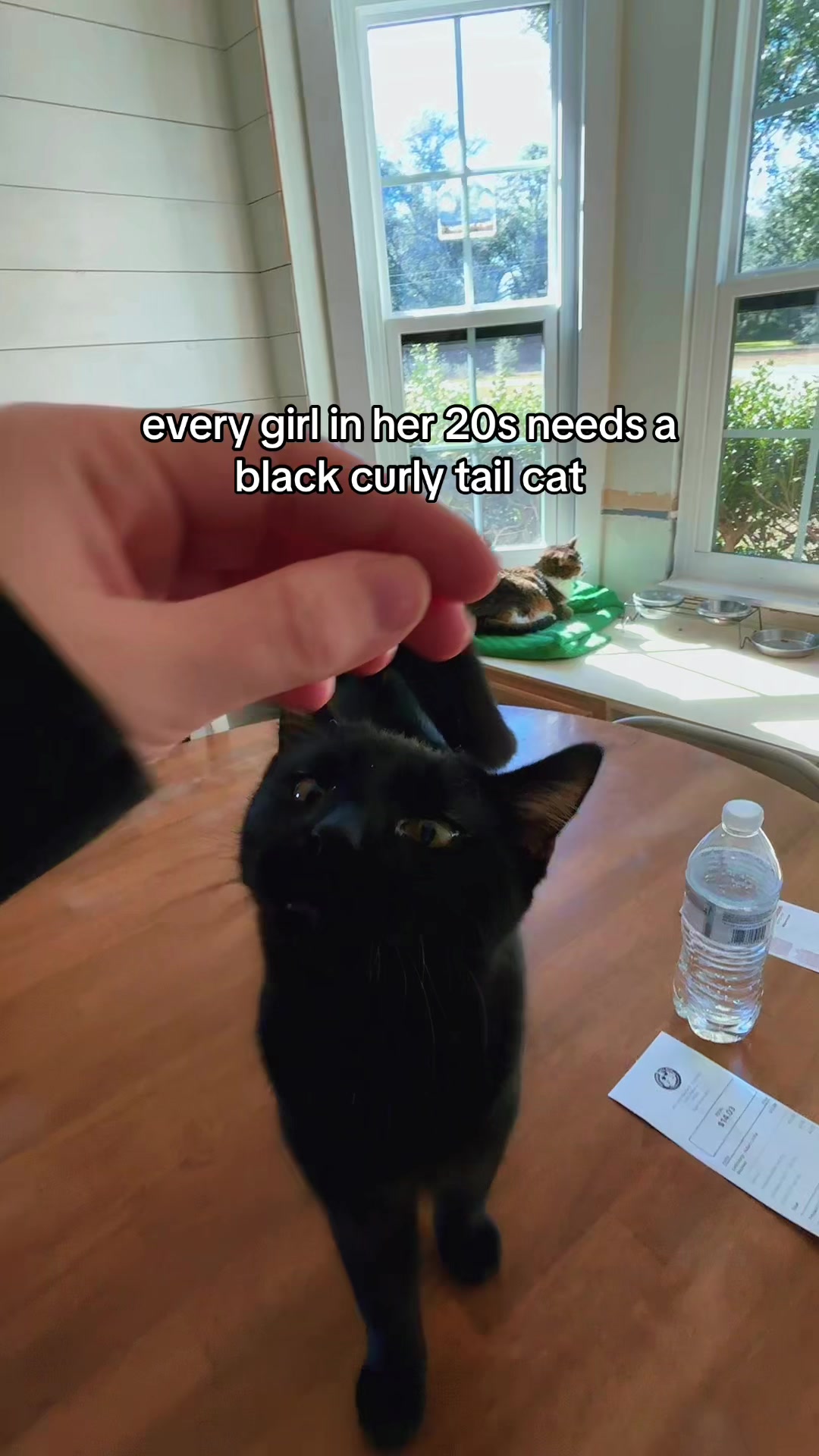 @🩵