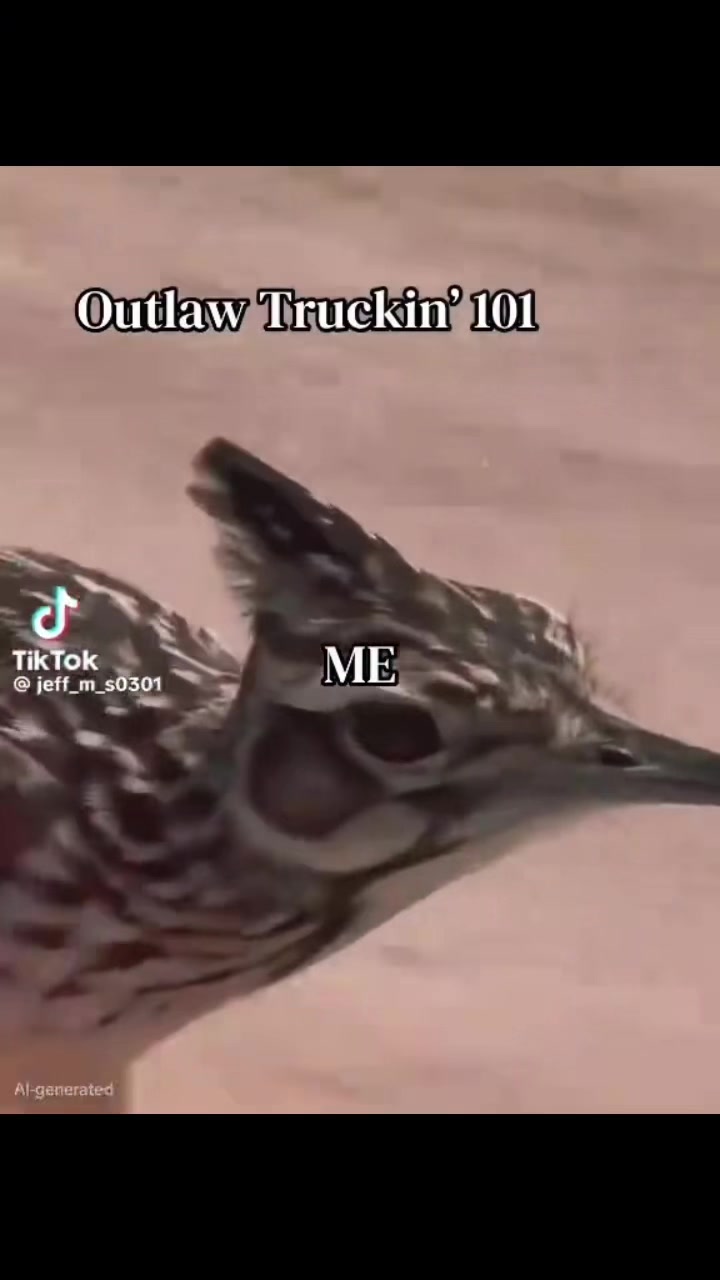 @MrTruckdriver1