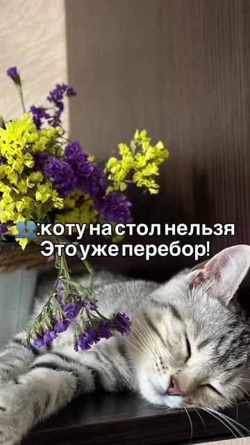@Тому що я Катя🇺🇦