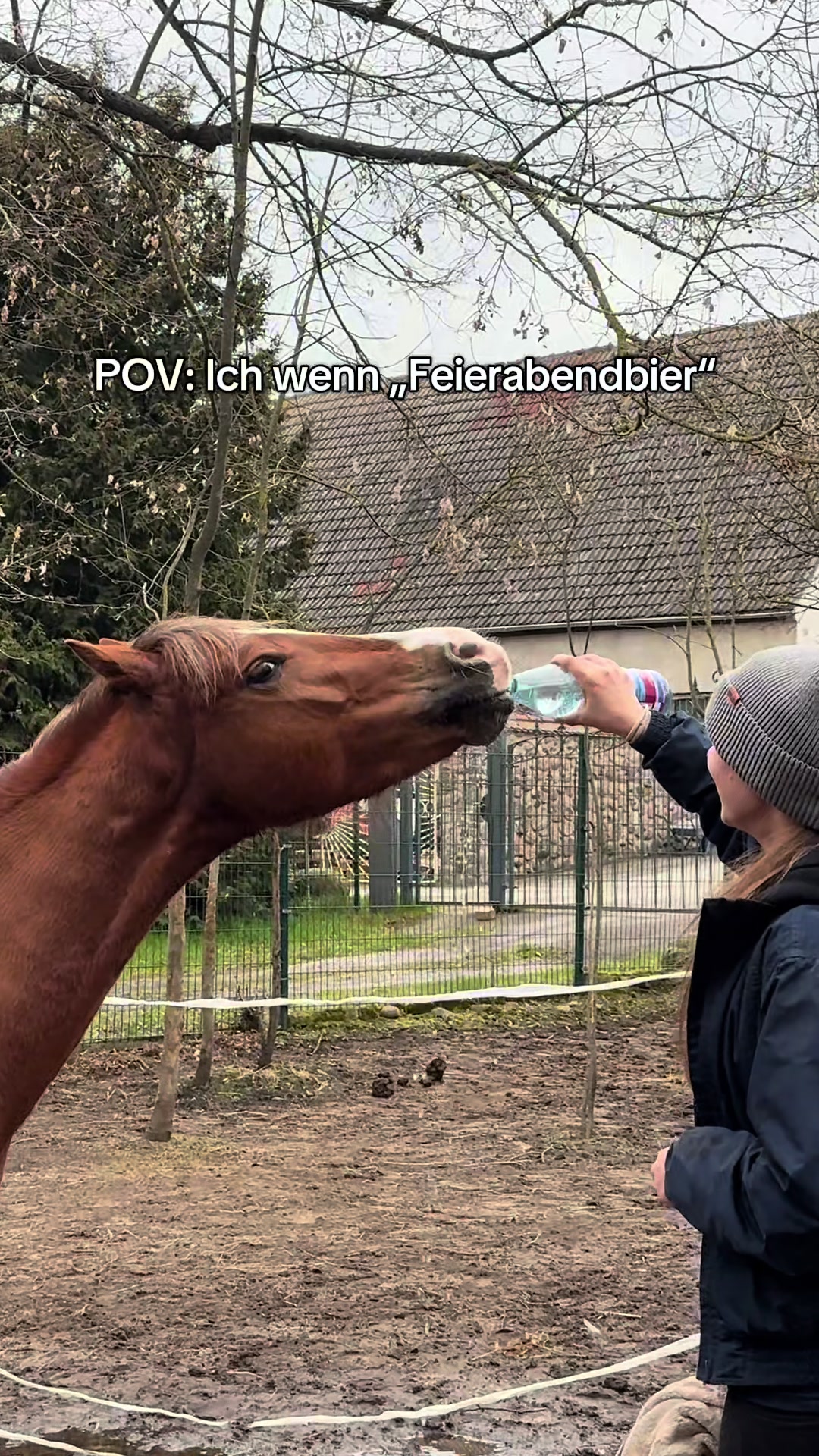 @Ponyhausen