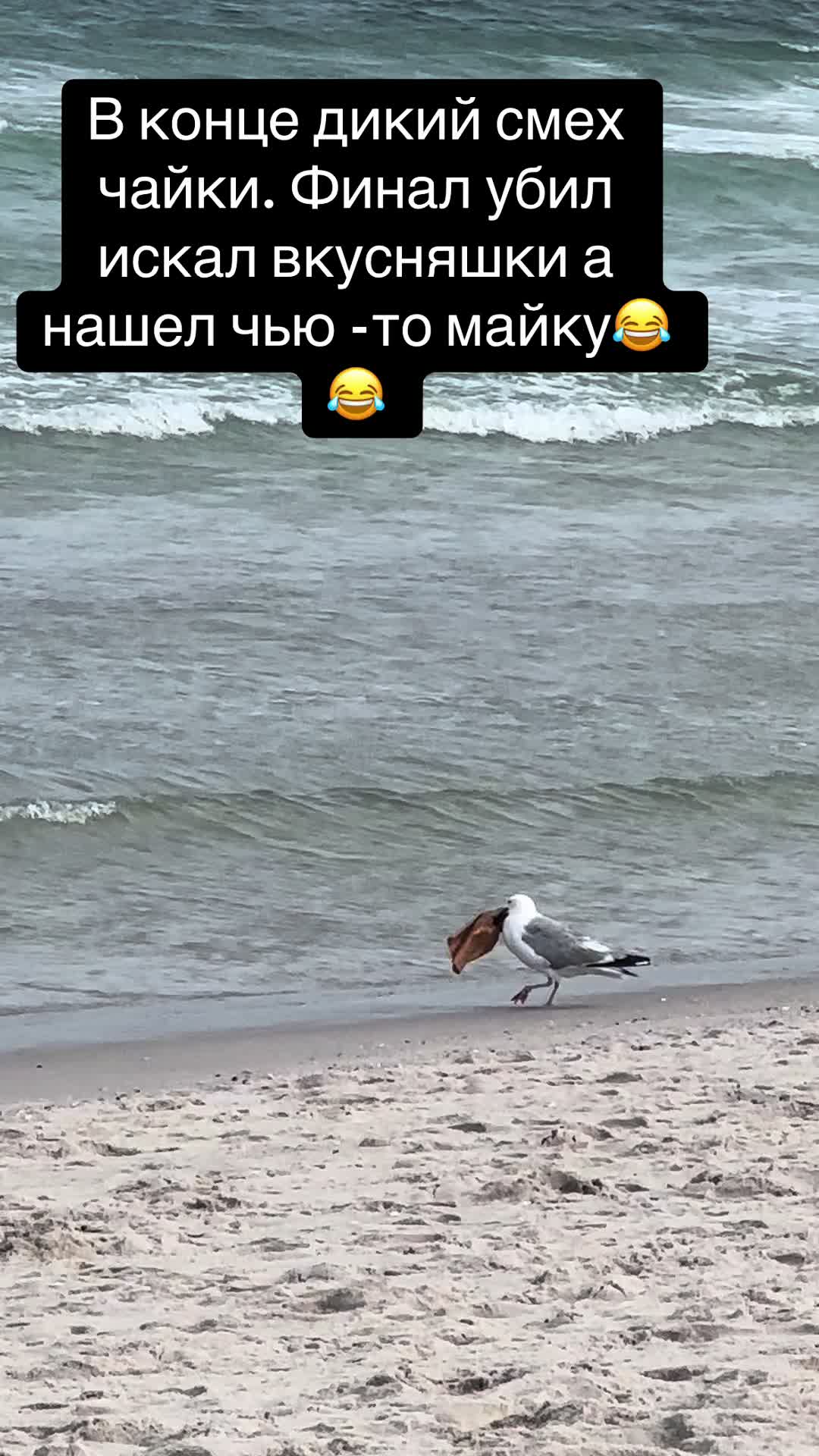 @hannamakarova3
