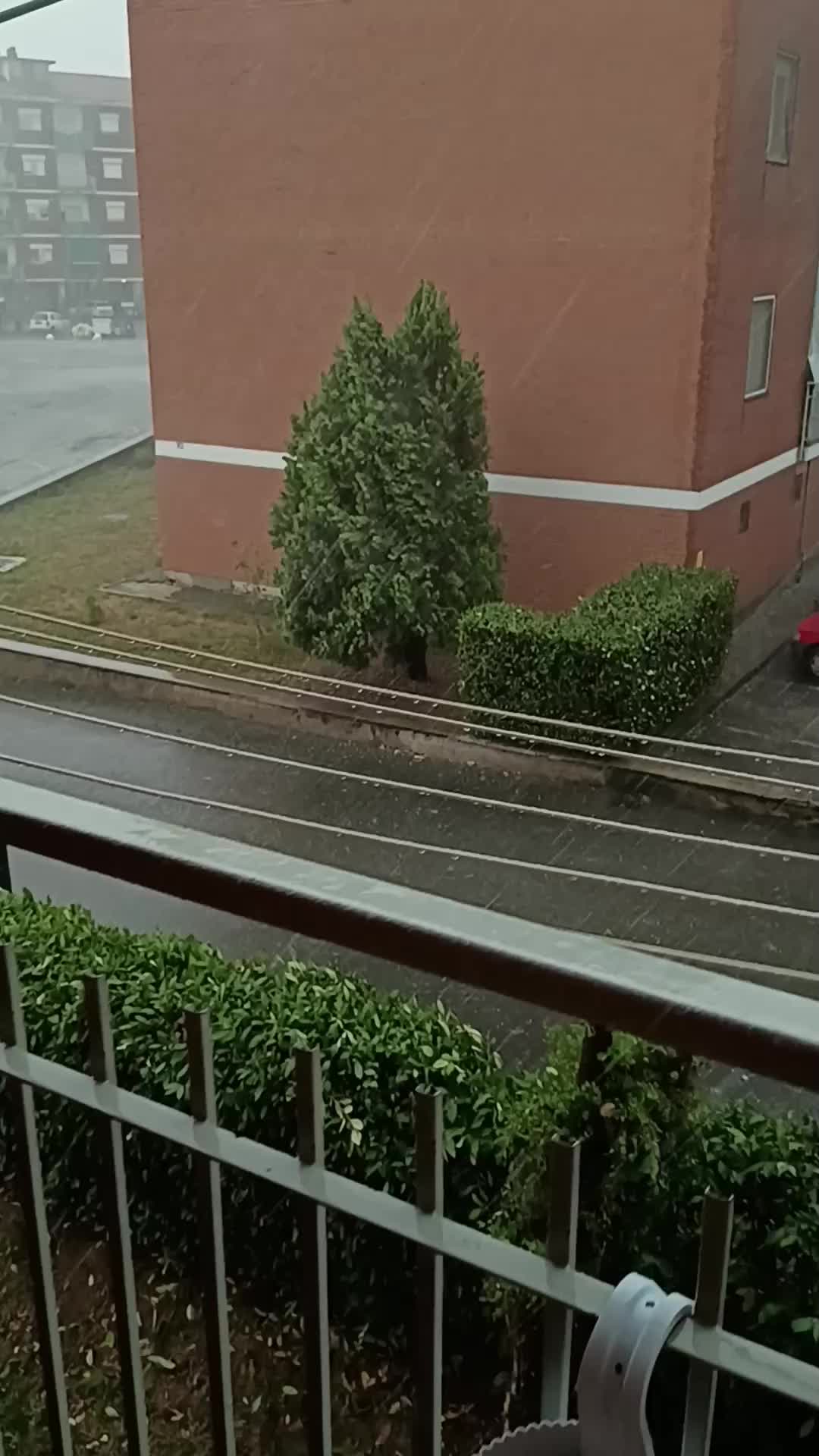 @Luciano Evangelista