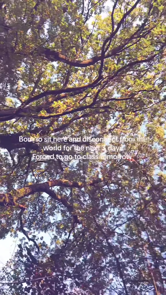 @Eloïse ✮