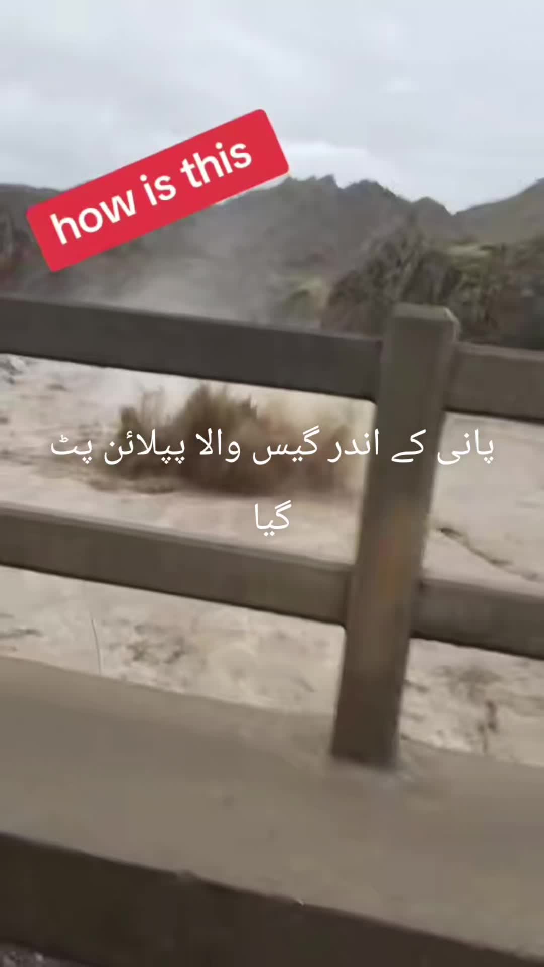 @Malik @Haji sahib