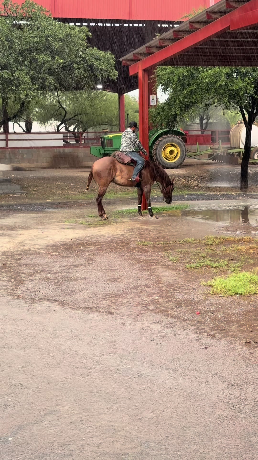 @Meneses Farrier