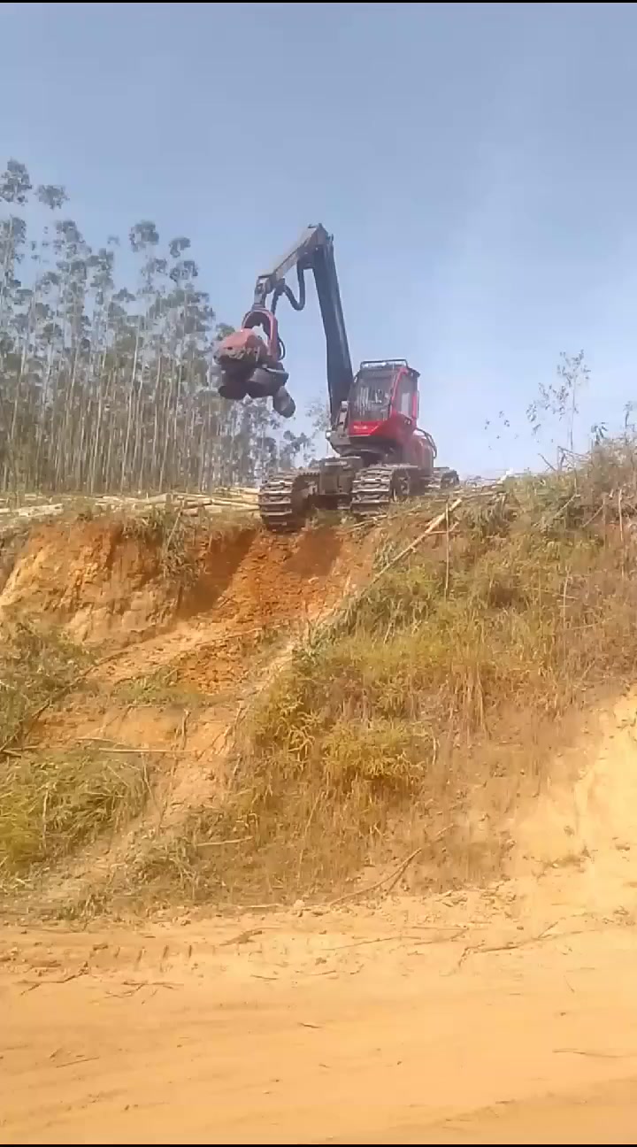 @🌲MAIKY_ROMÃO🌲