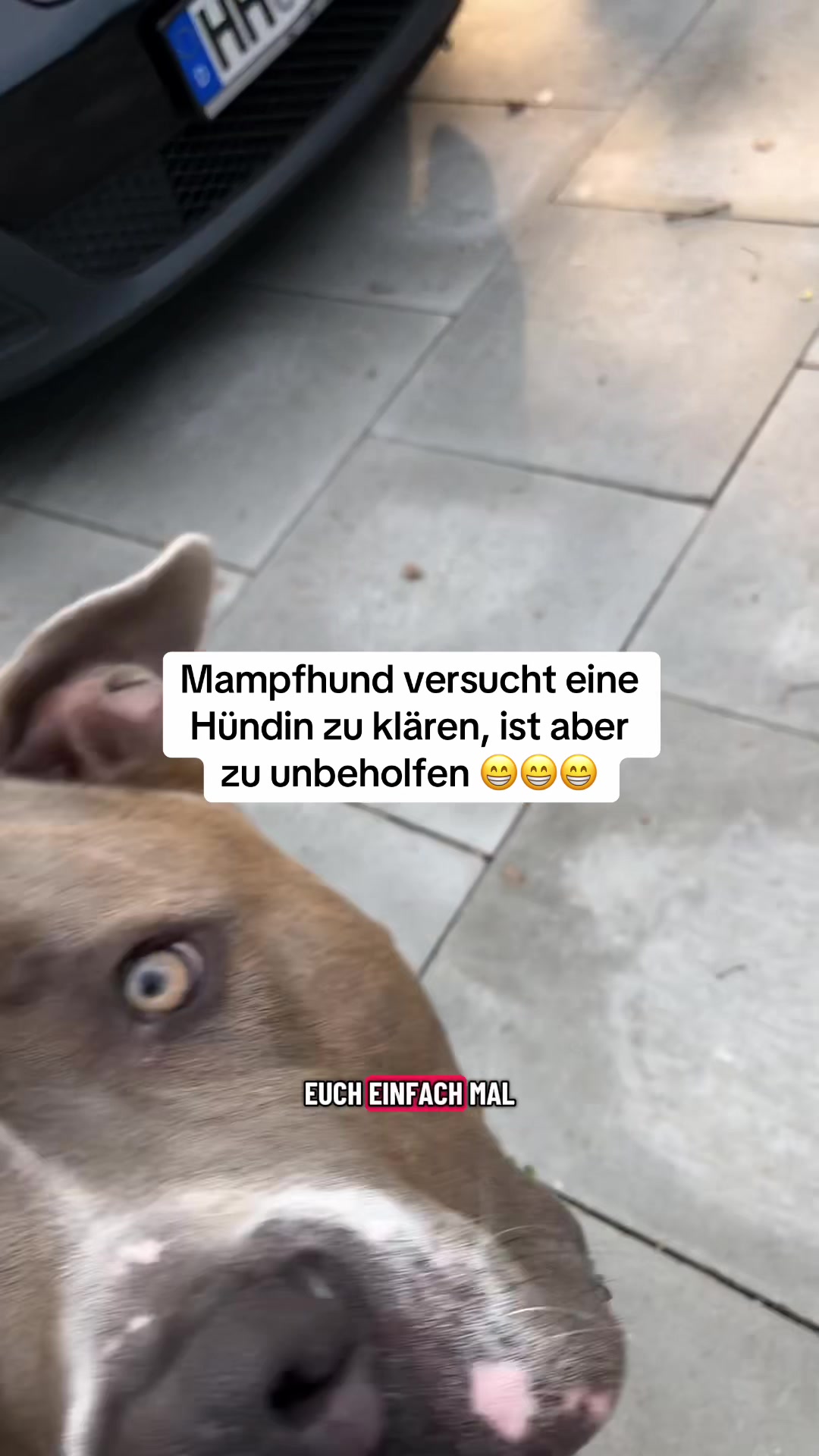@XXLBALU
