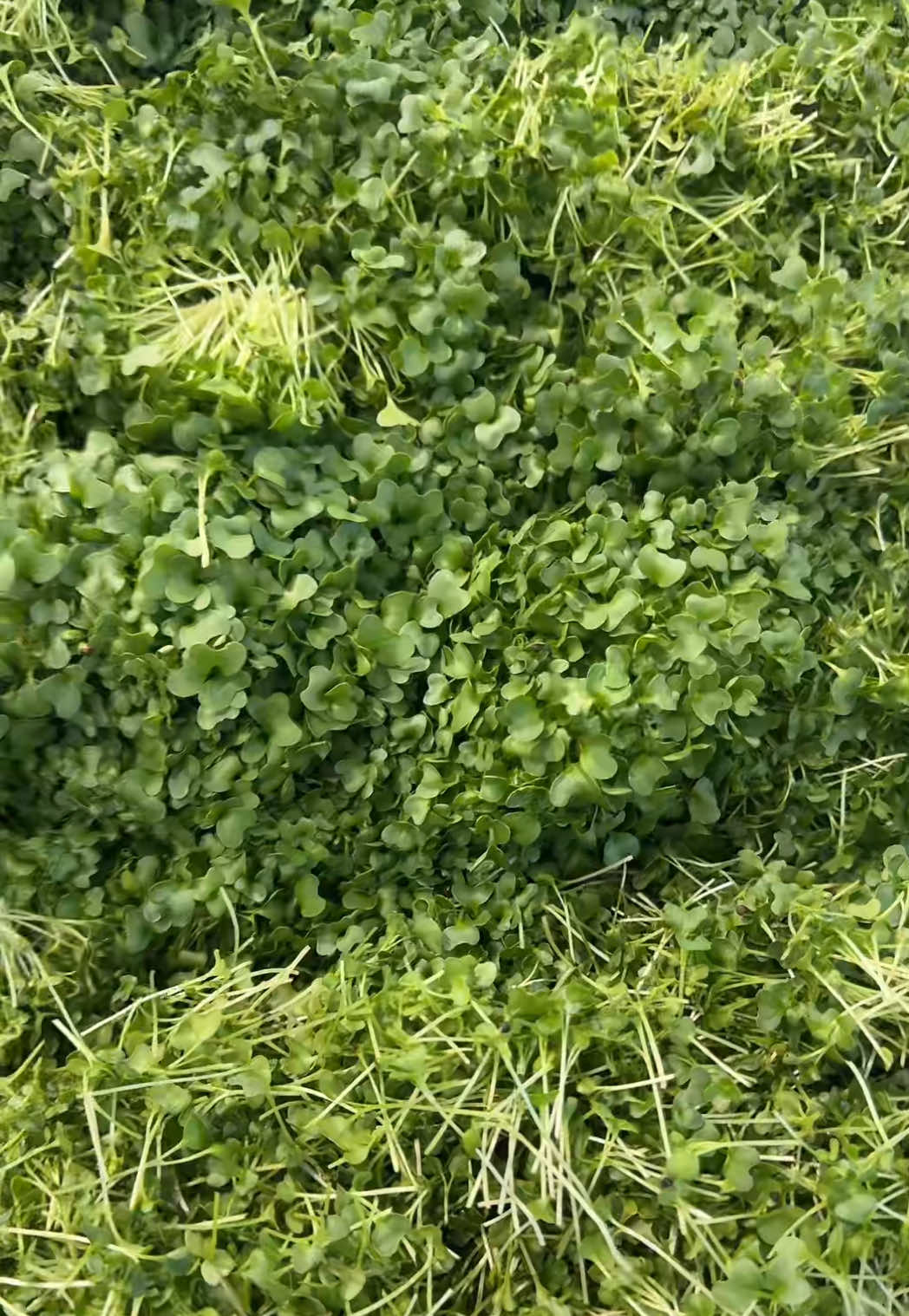 @Micos Micro Farm