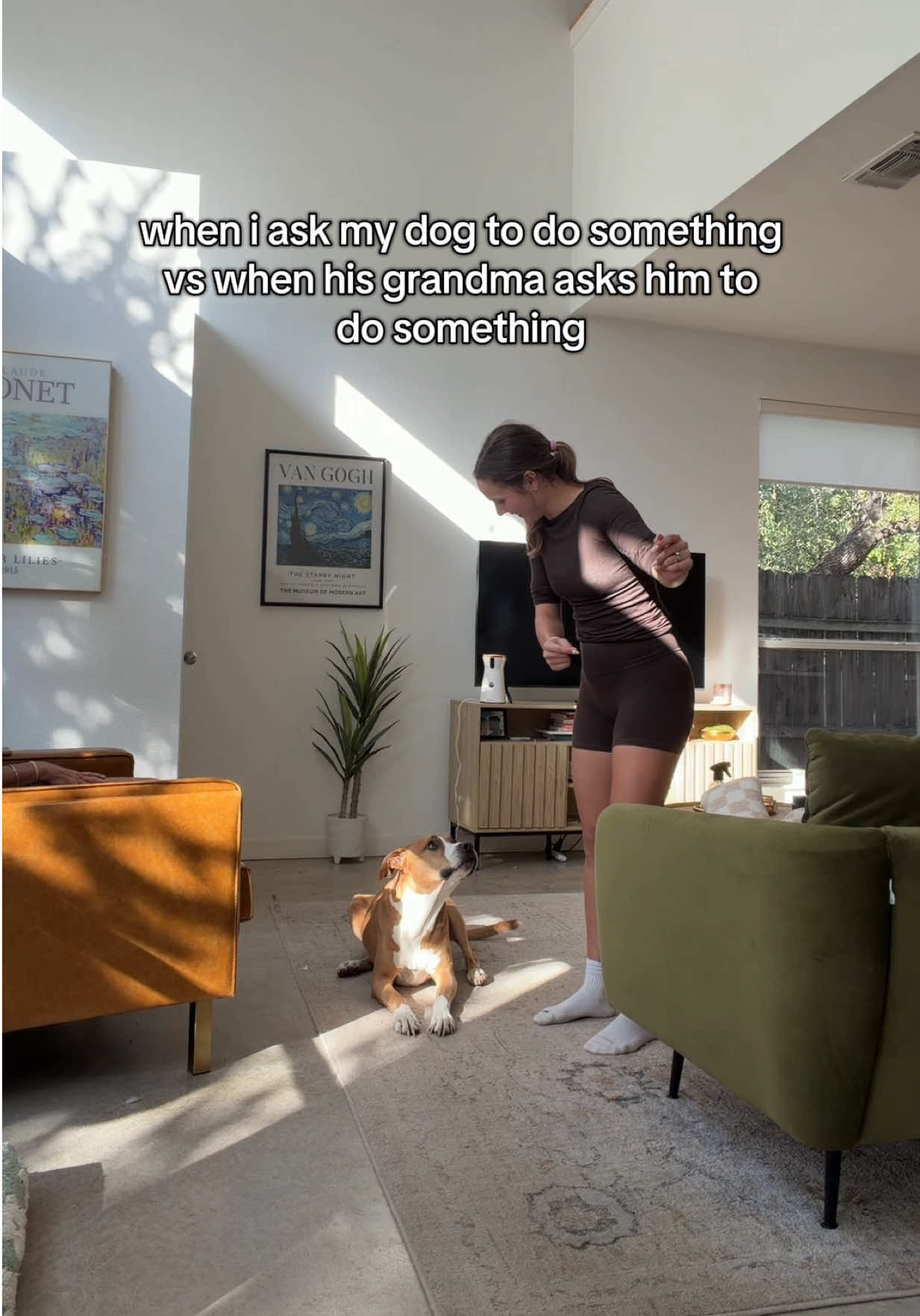 @Abby KPA-CTP | Dog Trainer