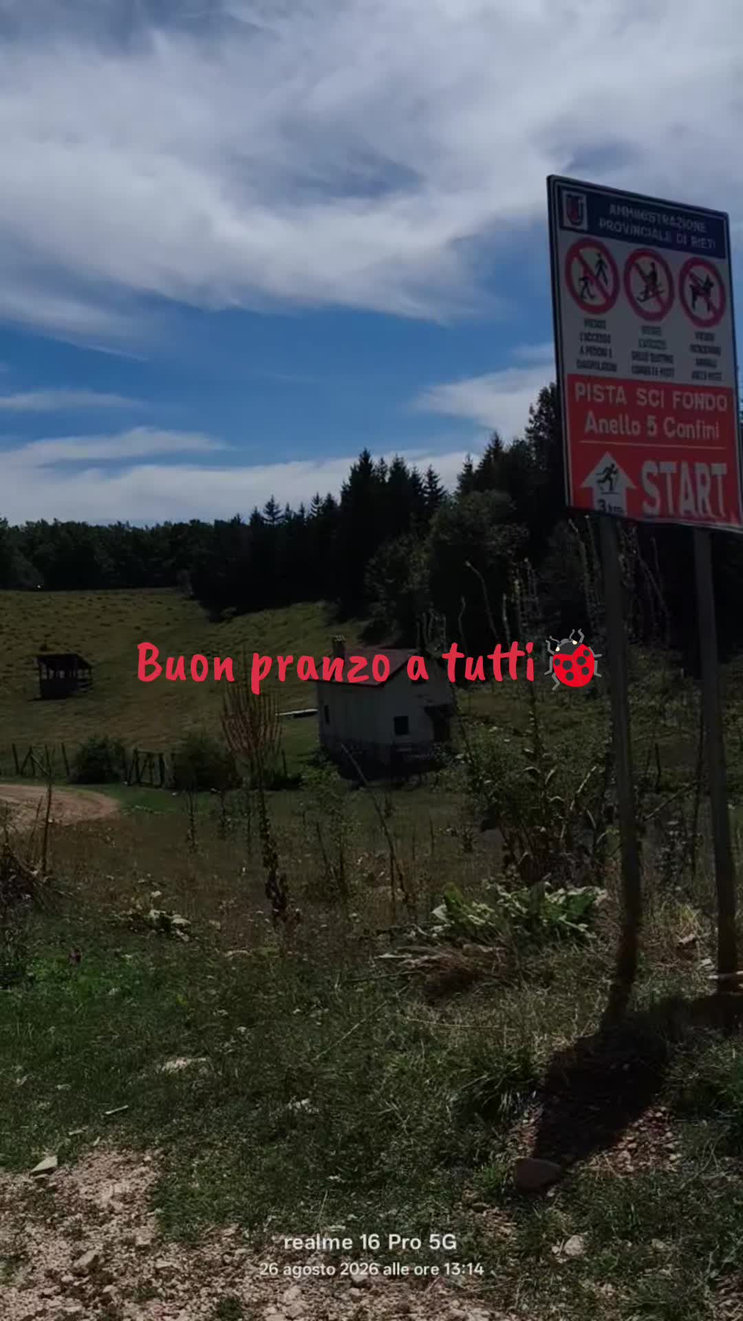 @Pidocrea🐞