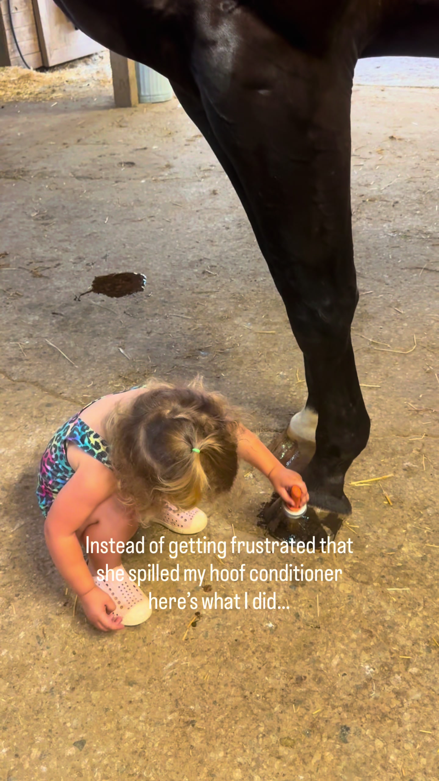 @Equestrian |🦄 Mom