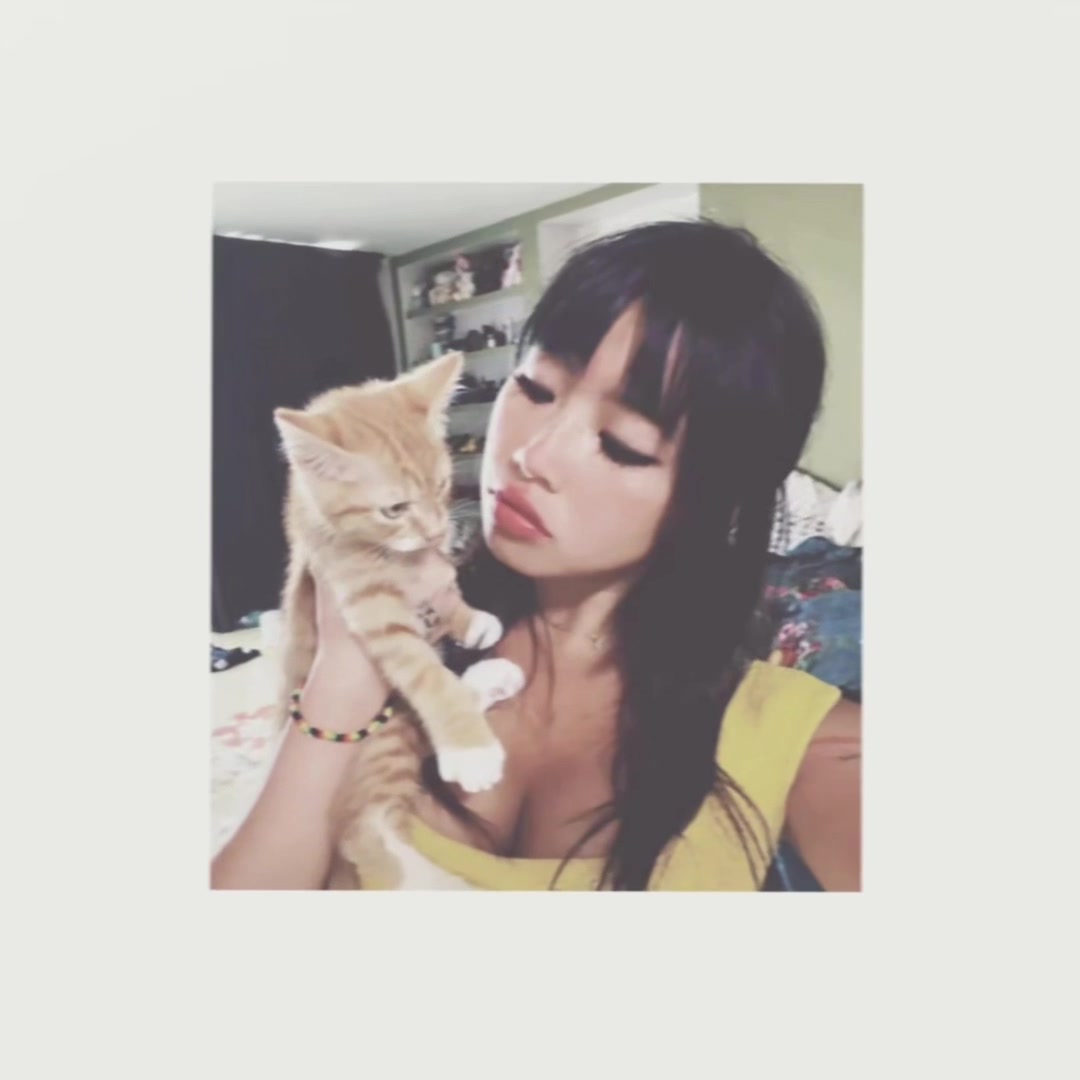 @katie ꨄ