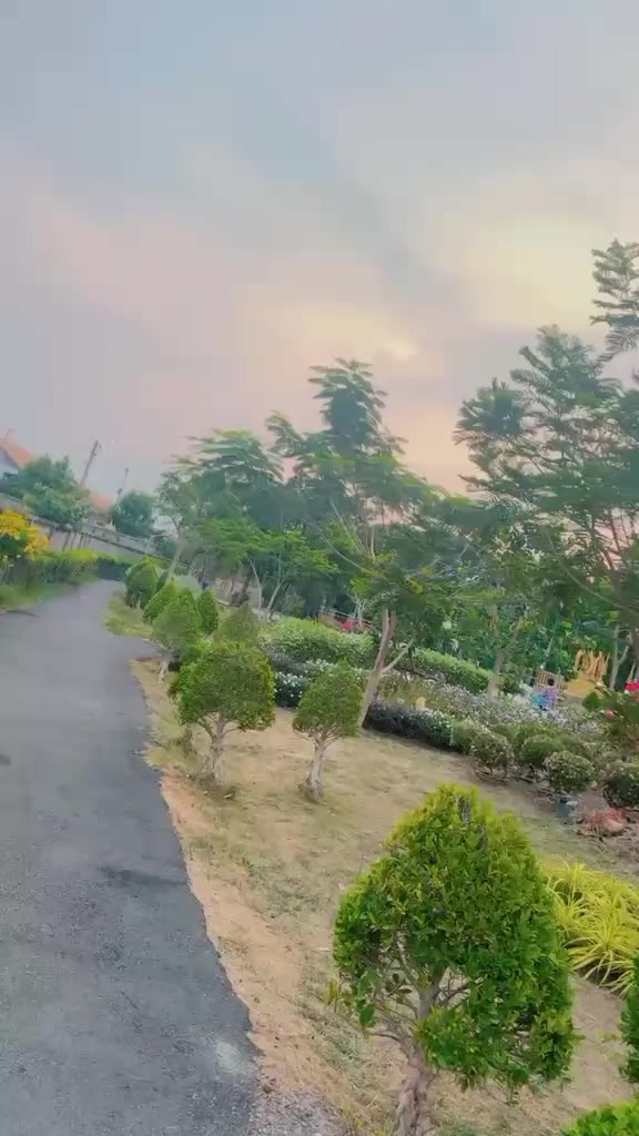 @UMAIR GORAYA