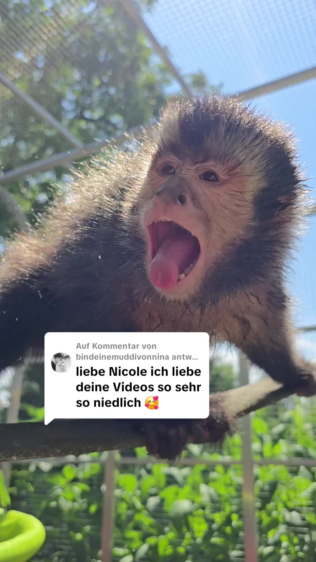 @Nicolles Welt