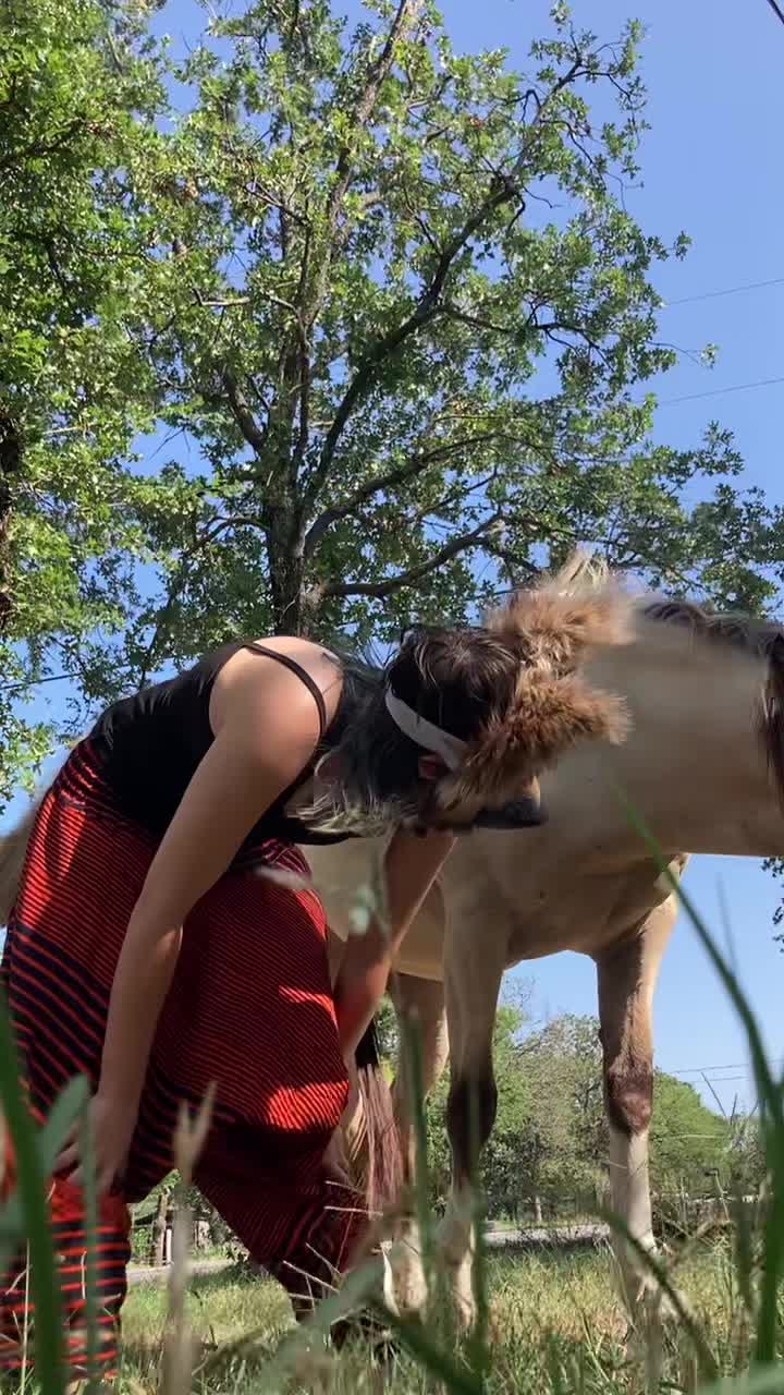 @🦴_𝘰𝘚𝘤𝘰𝘹𝘢𝘦_🦴