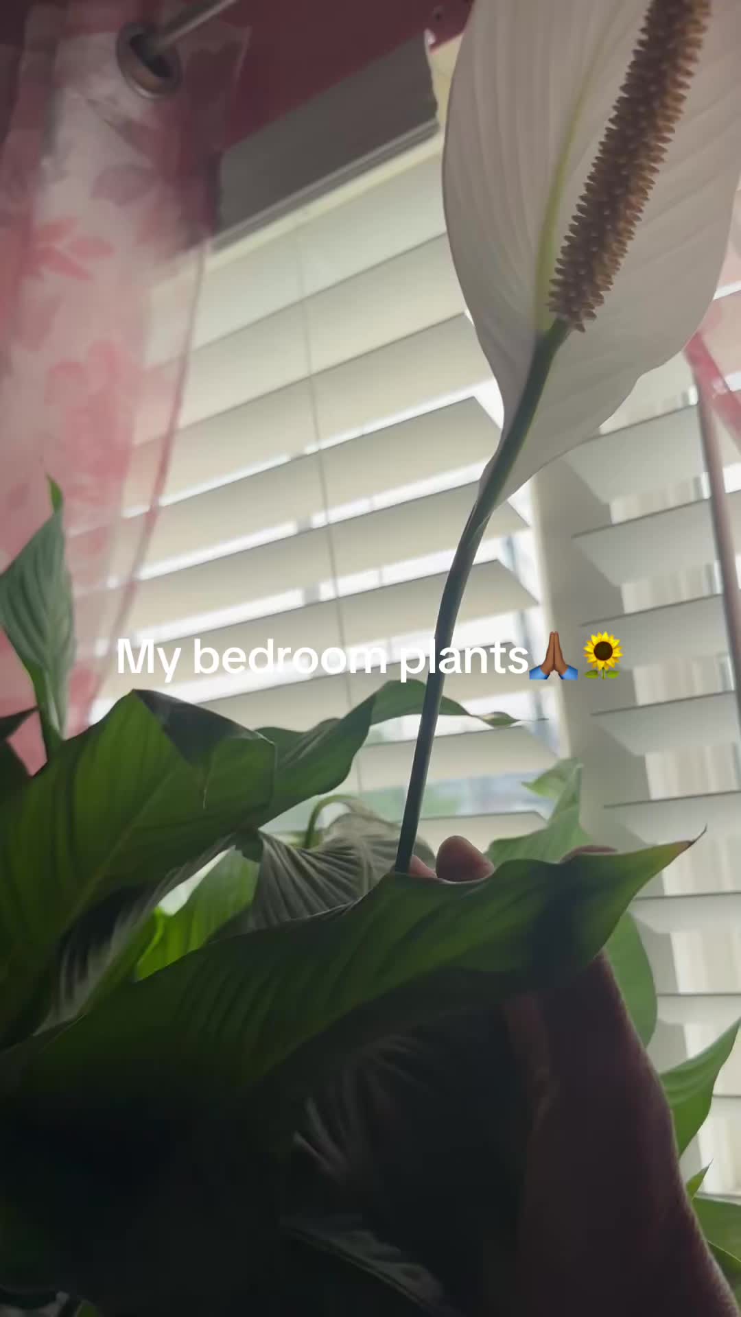 @prettypaulette66