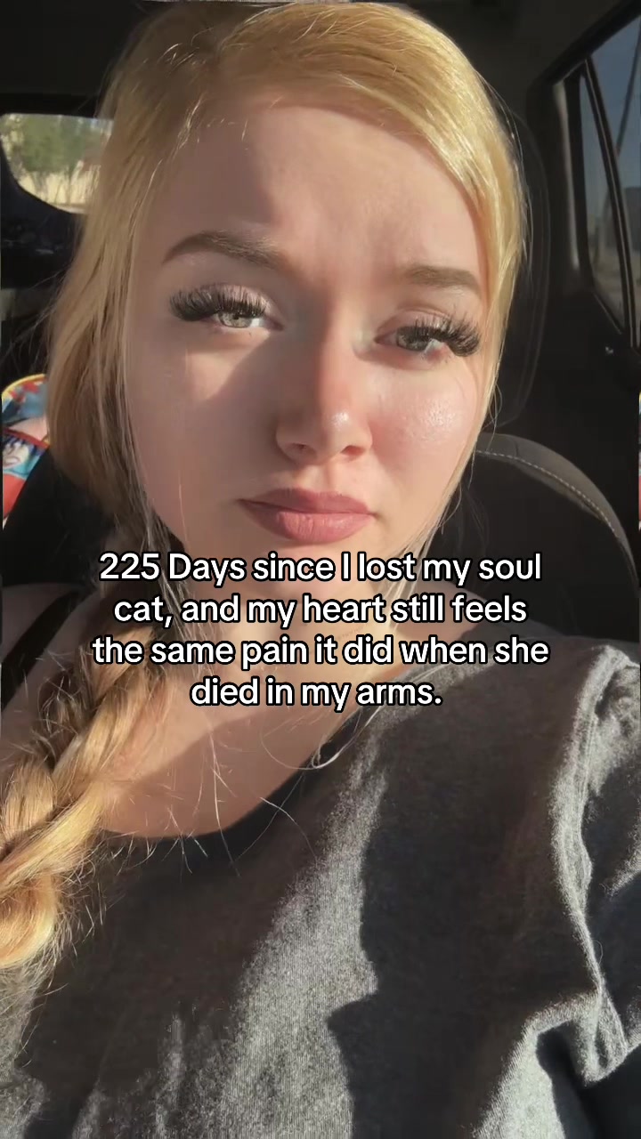 @Alexis katherine🦋