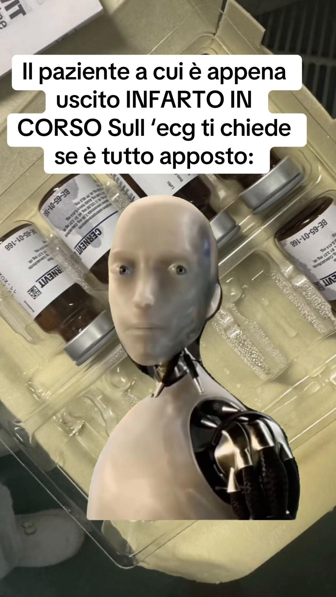 @Sofia Dionisio
