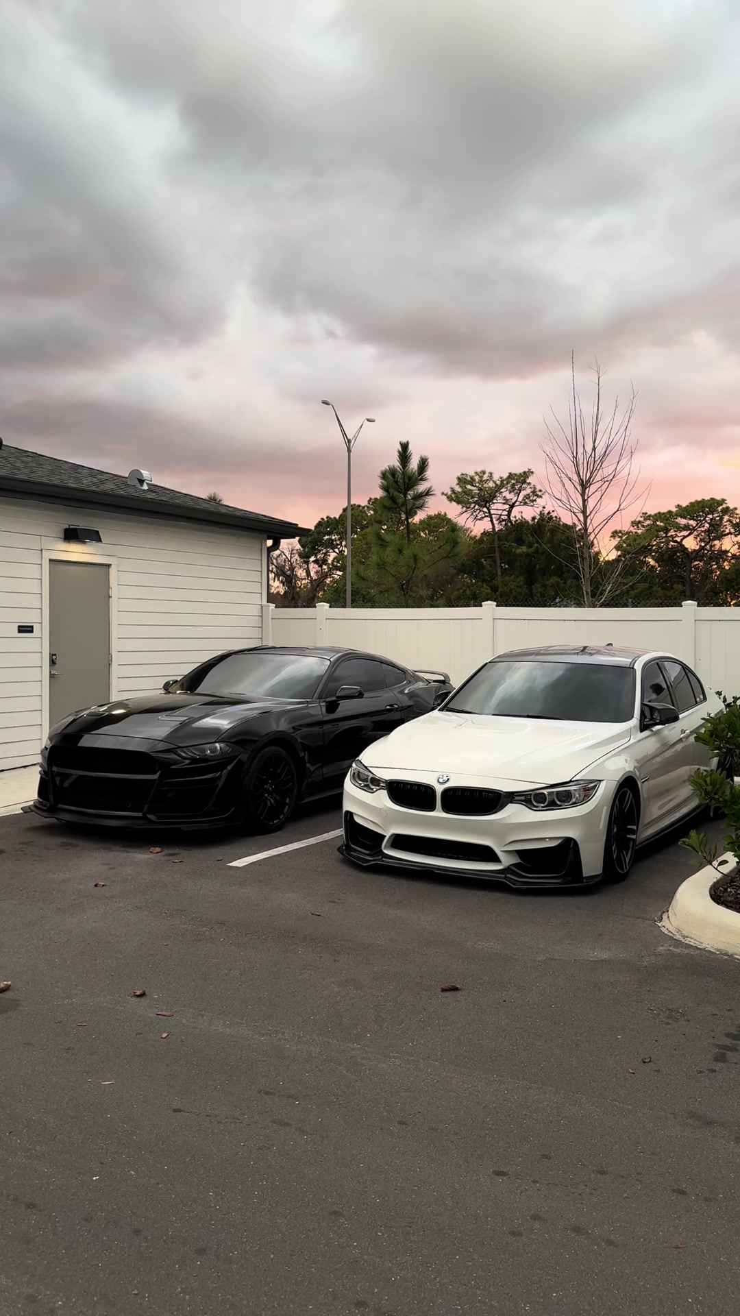 @f80andy_