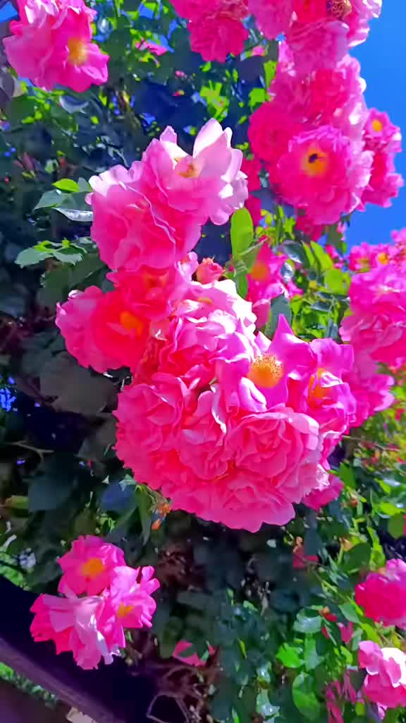 @Rainbowshit13🌺