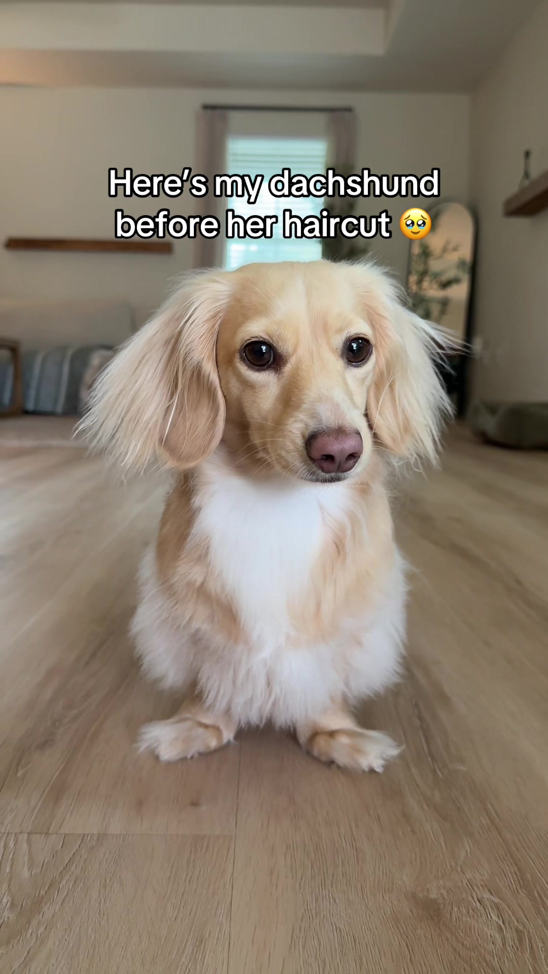 @Billiebeantheween