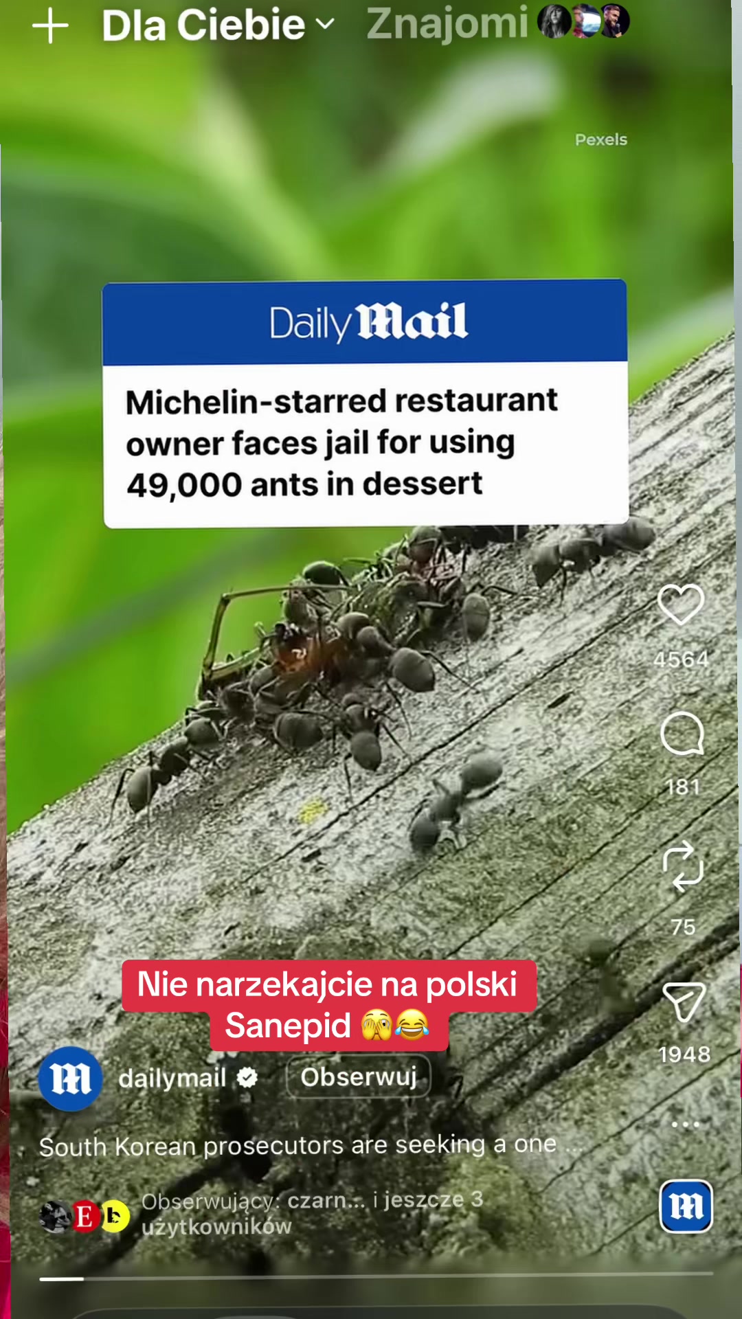 @Maria Kobryń radca prawny