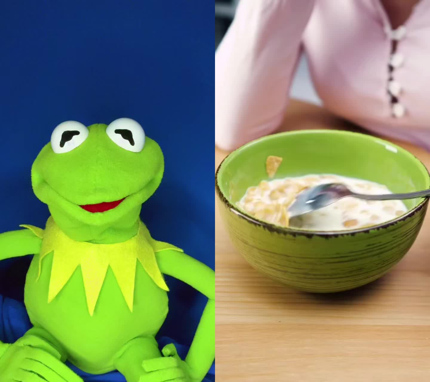@Kermitthepuppet