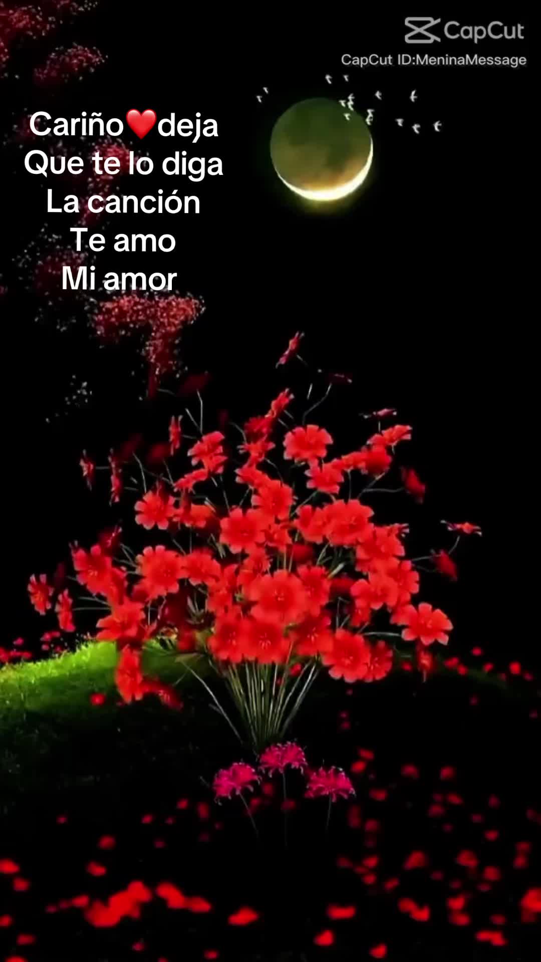@Rauda&cari&ntilde;o❤️