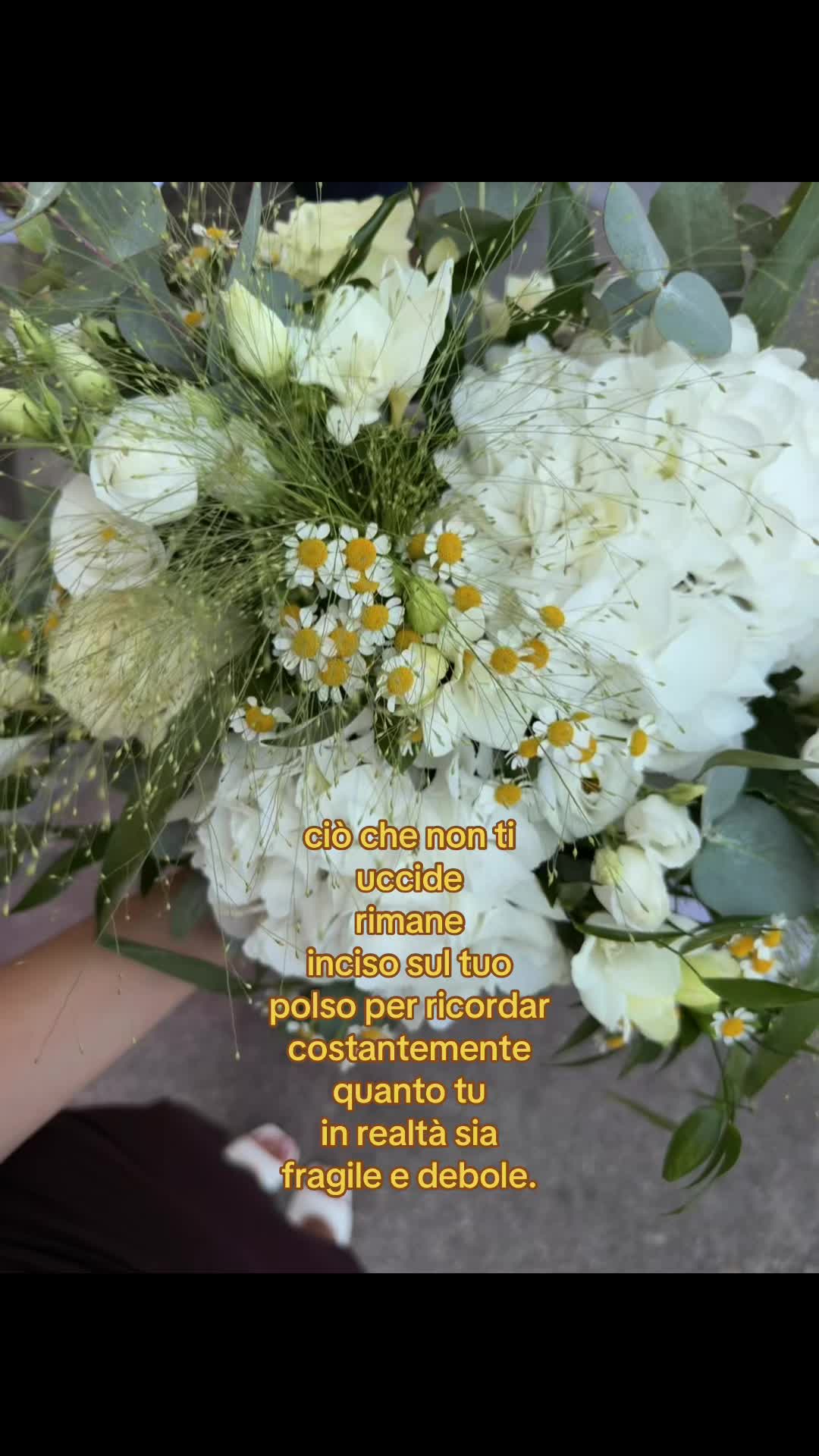 @giorgia