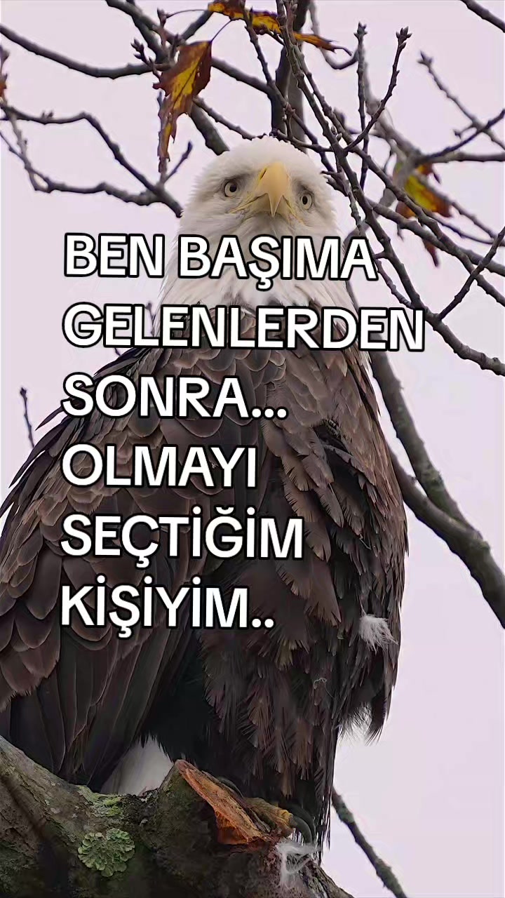 @__İREM__