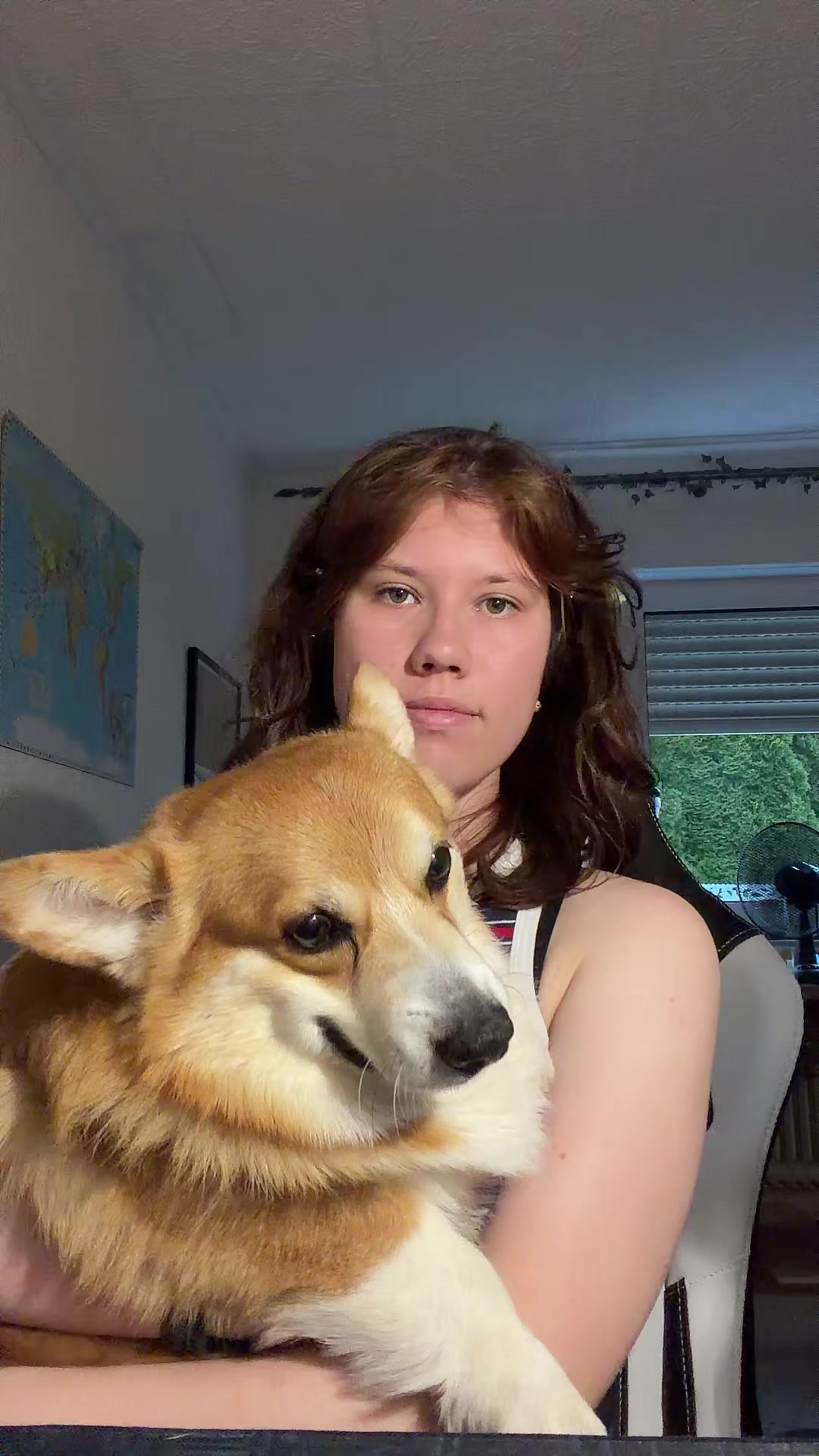 @Noot_Noot