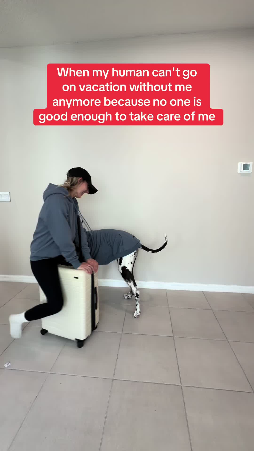 @Greyson the Great Dane