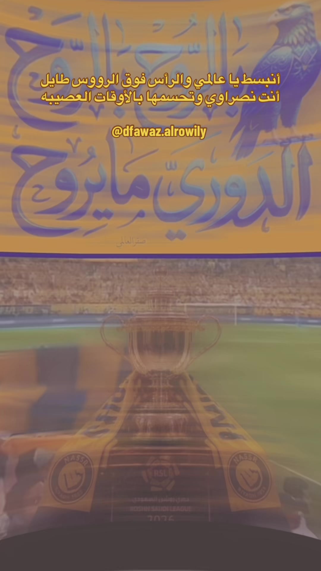 @الإعلامي د. فواز صايل الرويلي