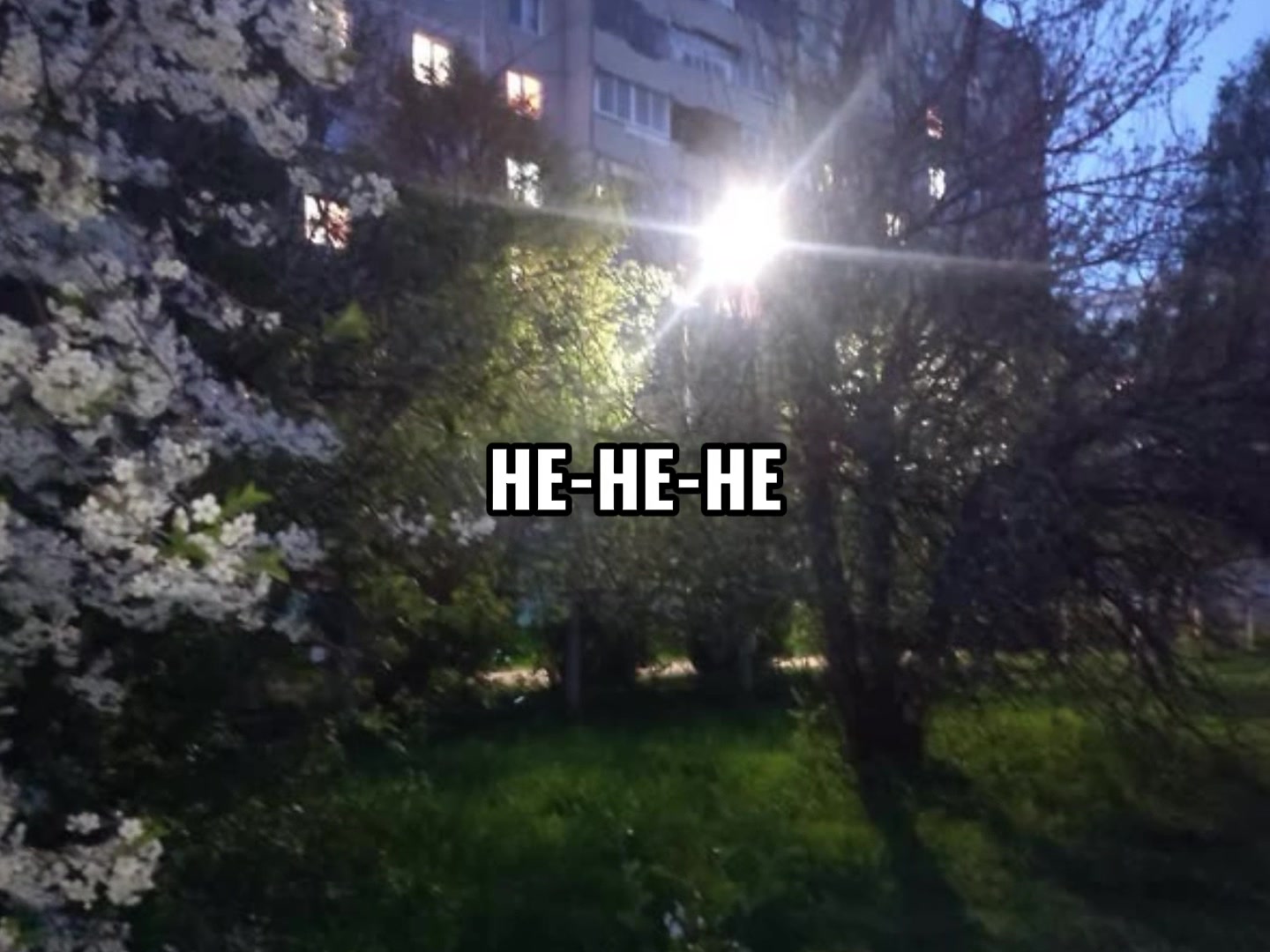 @dj_mewkirr☢️