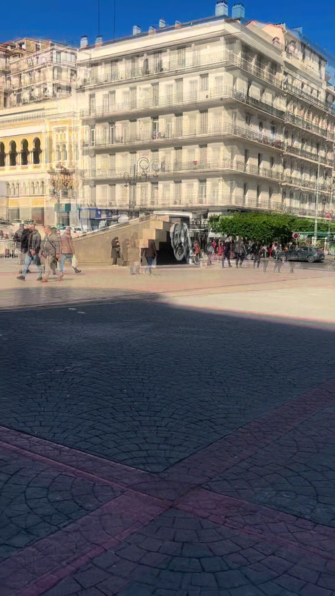 @casamia664🍕🇩🇿🇩🇪