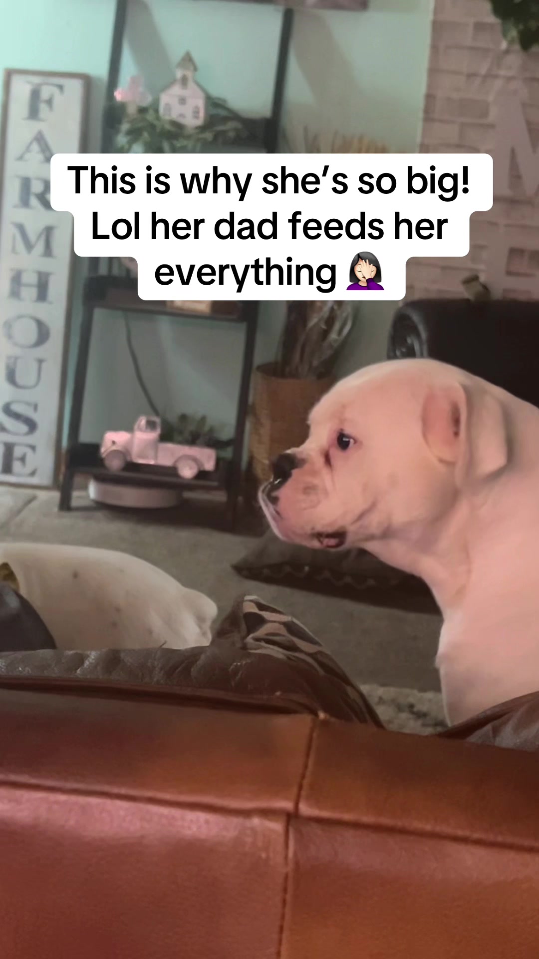 @chelsey.elizabeth2