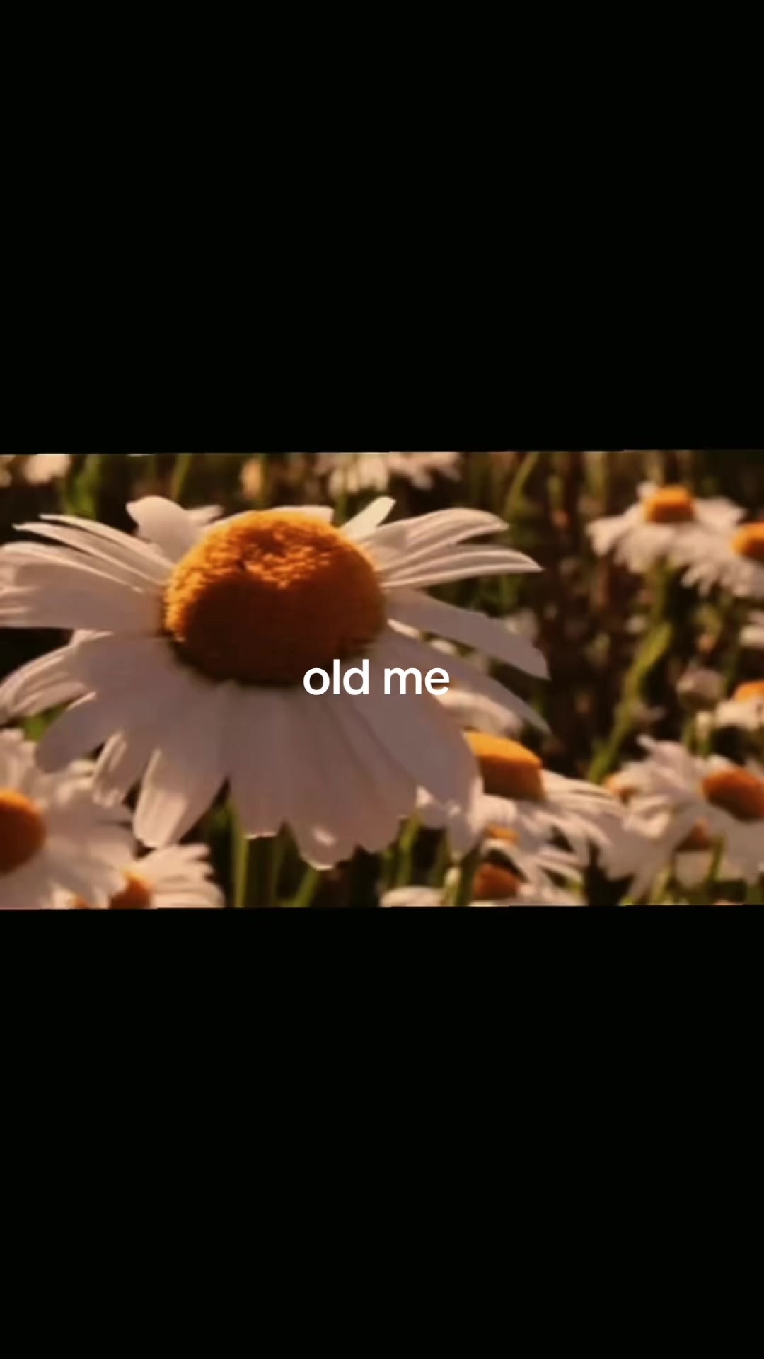 @369
