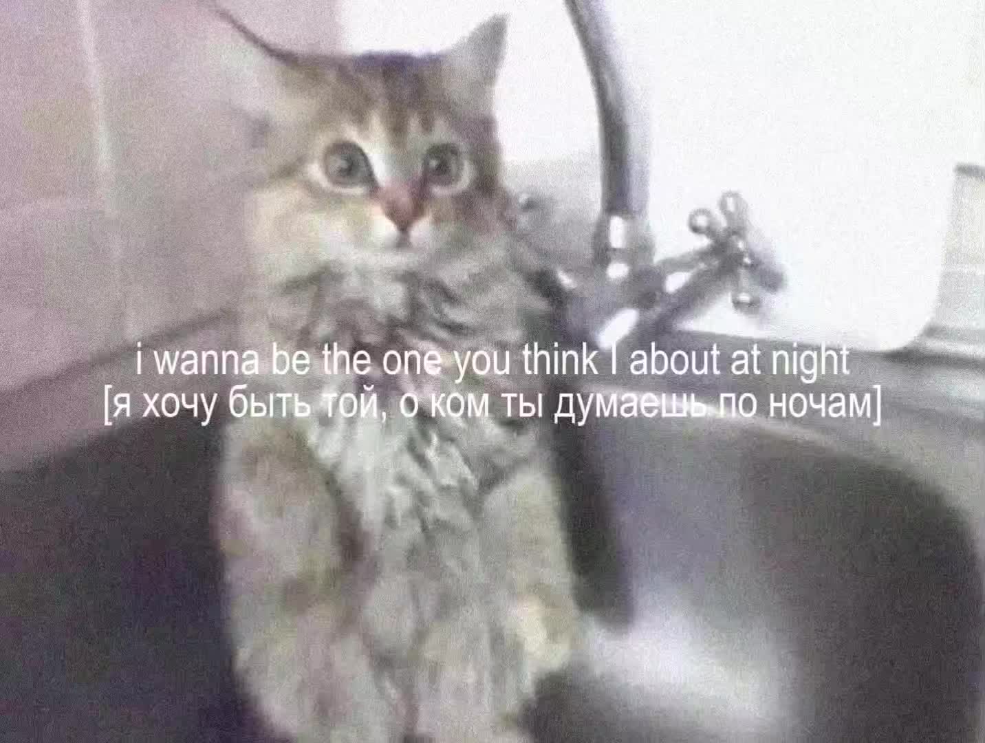 @𝐥𝐨𝐦𝐢𝐱𝐬𝐚