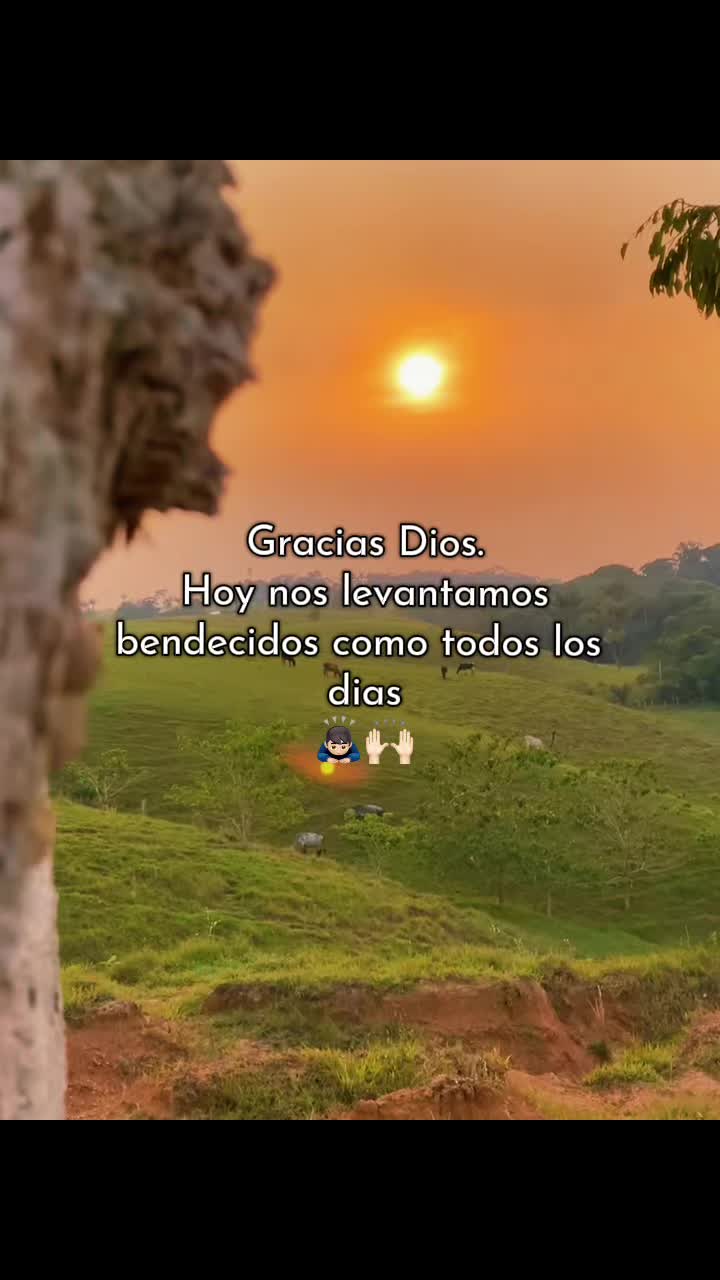 @✝️🍀𝐅𝐒 𝐎𝐒𝐂𝐀𝐑🐻✅