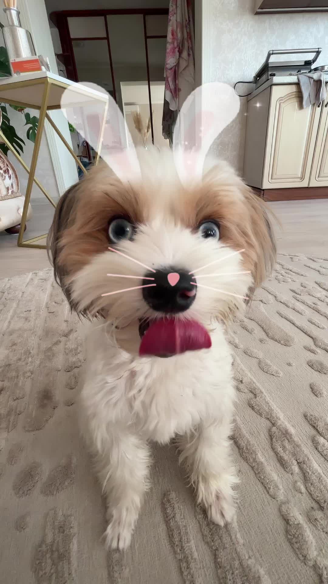 @херь