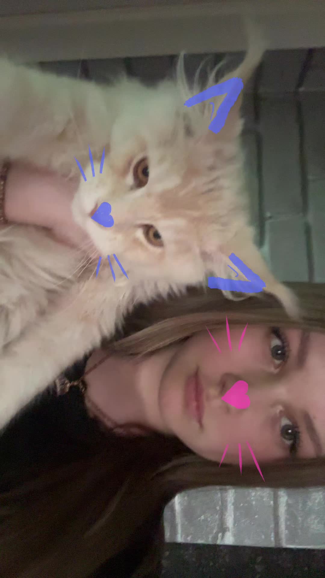 @stepanova