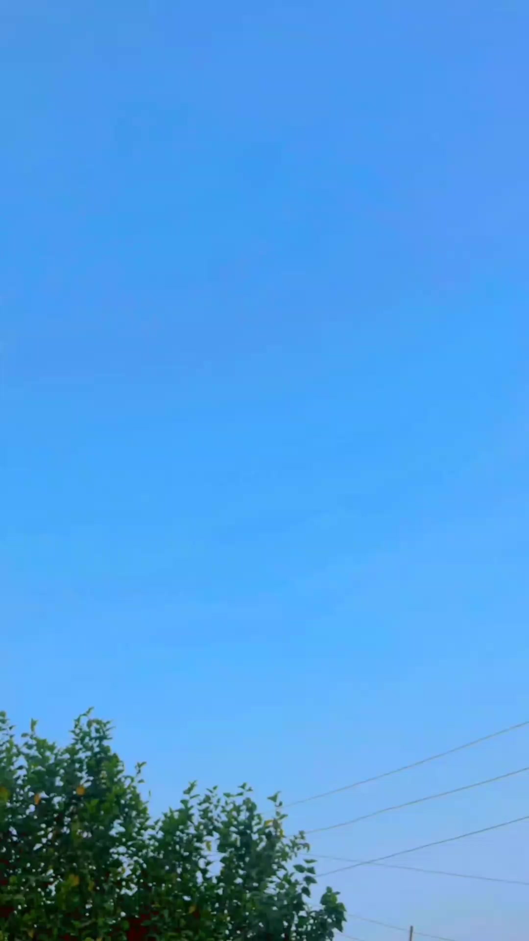 @🦅S. K. 01🦅
