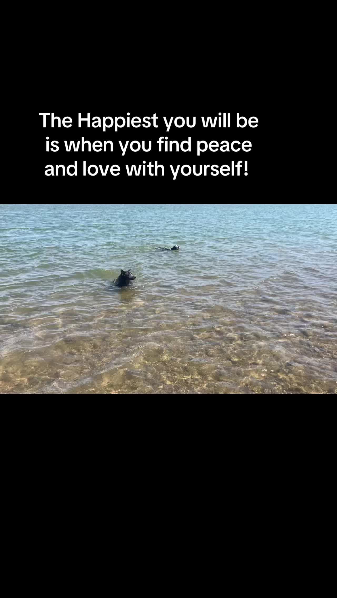 @brandeejane11